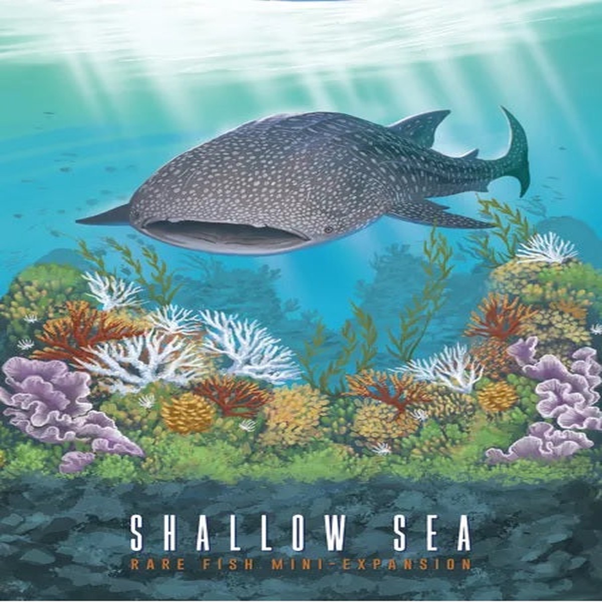 New Arrival Shallow Sea: Rare Fish Mini-Expansion