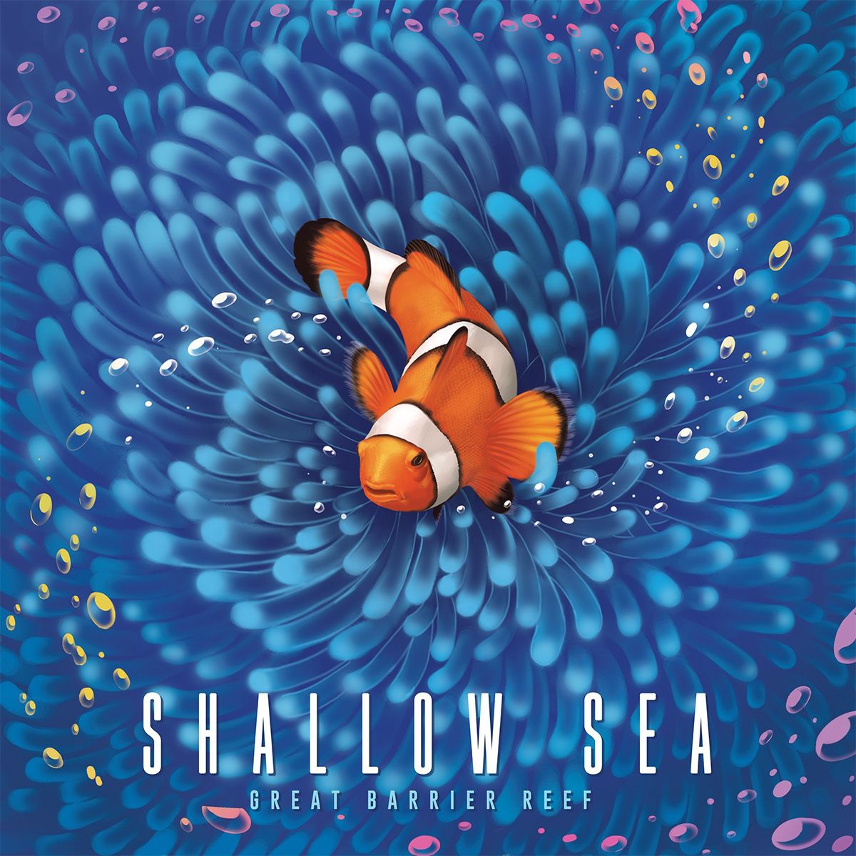 New Arrival Shallow Sea