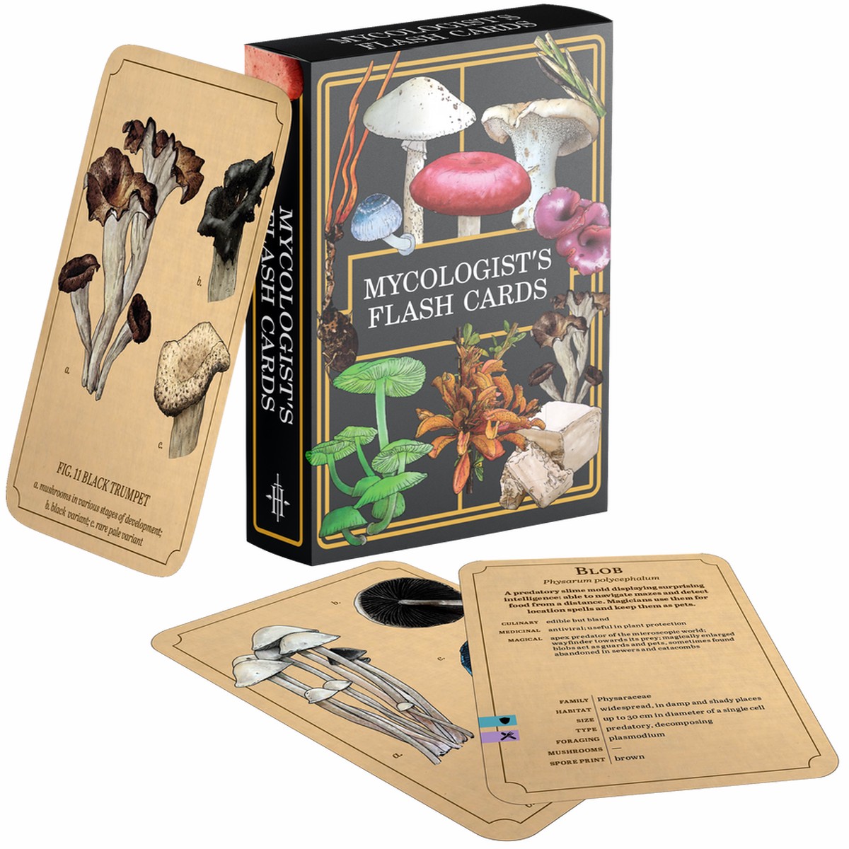 Mycologists Primer Flash Cards