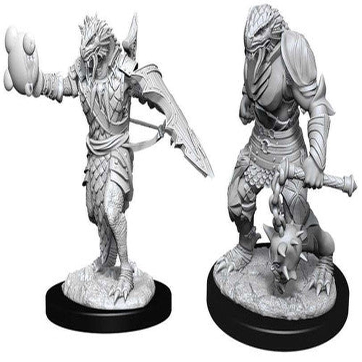 D&D Nolzur's Marvelous Unpainted Miniatures: Male Dragonborn Paladin