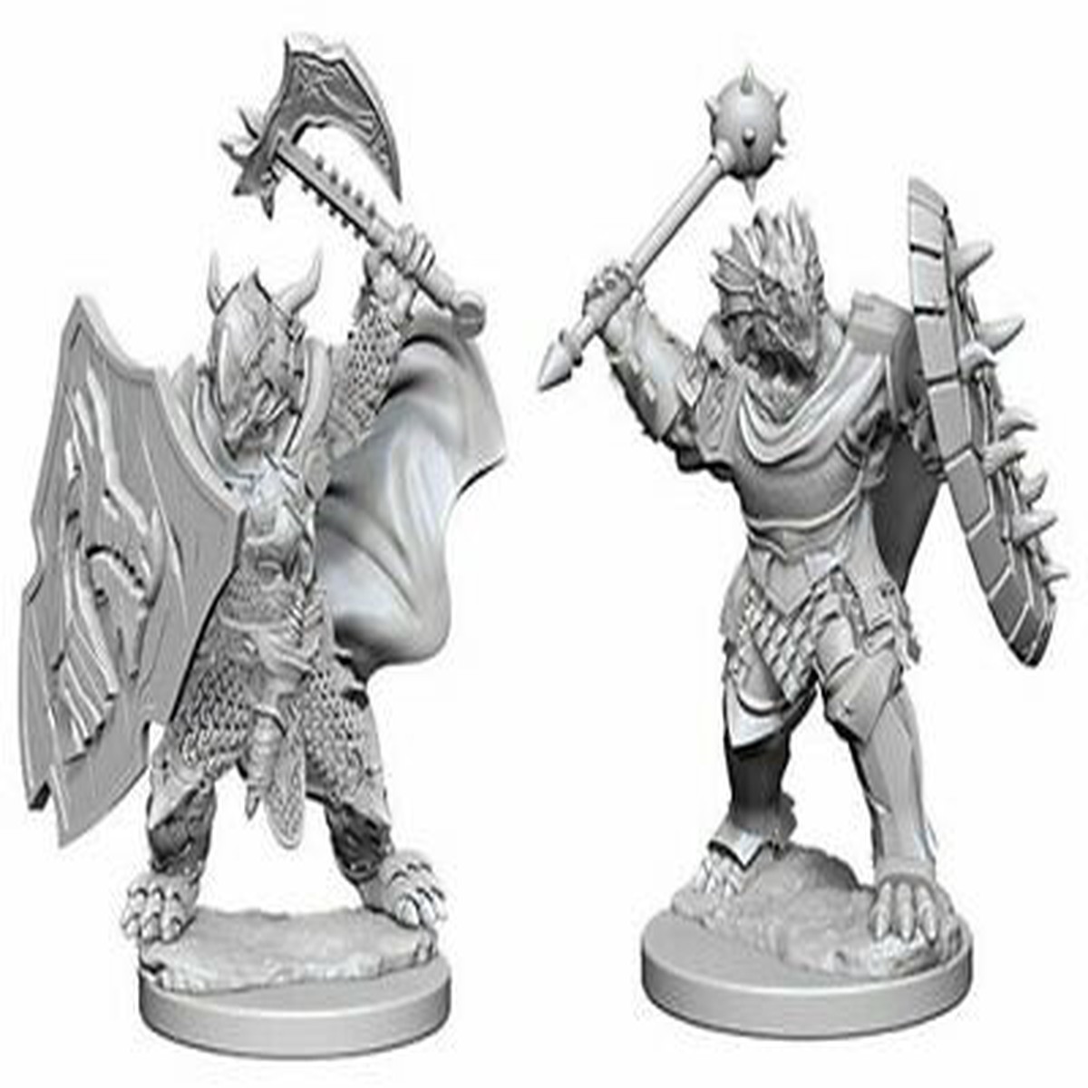D&D Nolzur's Marvelous Unpainted Miniatures: Dragonborn Male Paladin