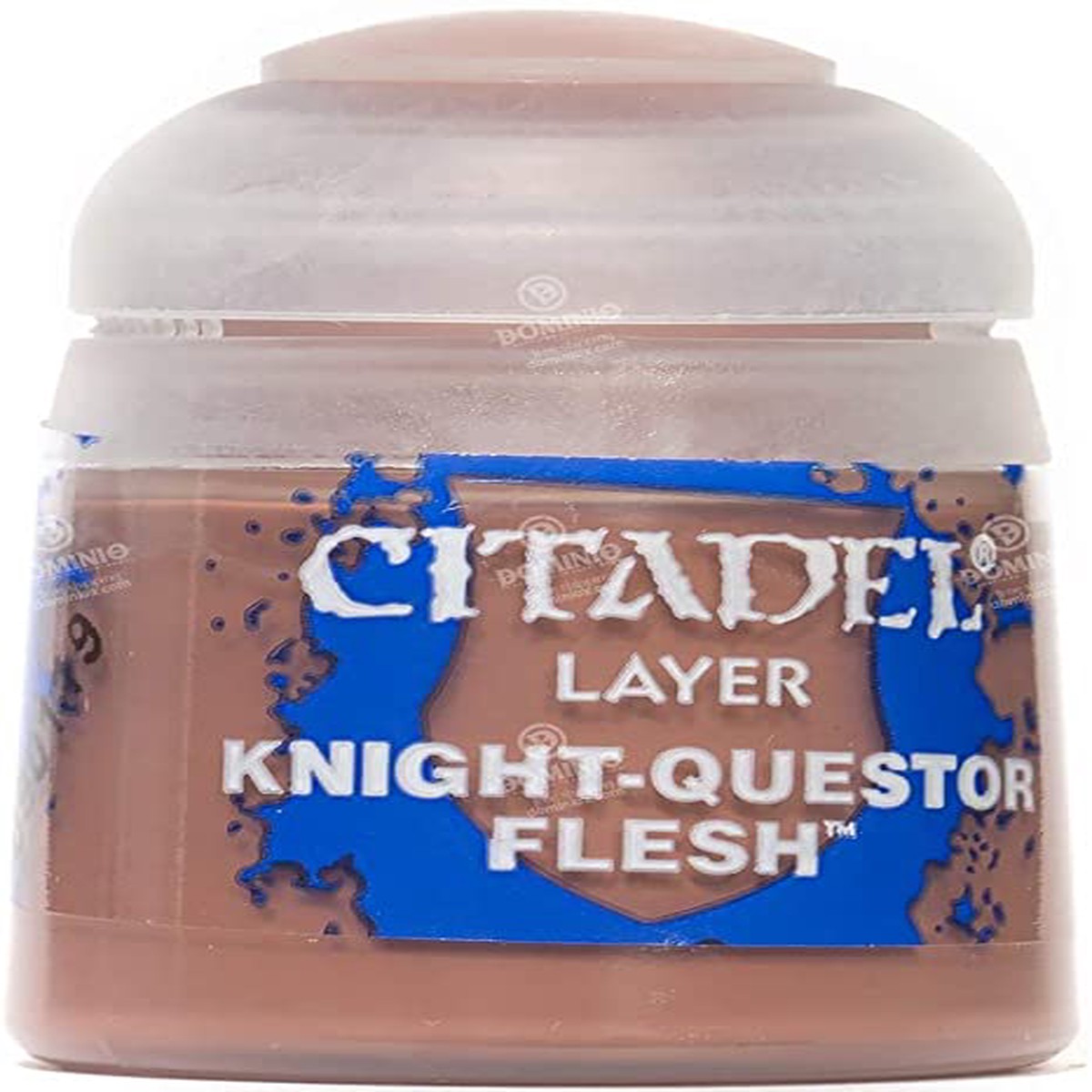 Citadel Layer Knight-Questor Flesh
