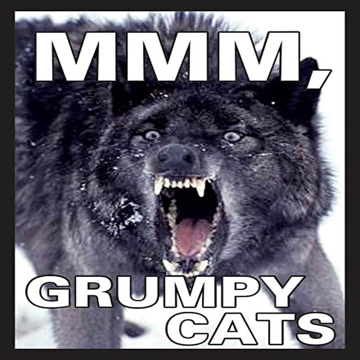 Legion Standard Card Game Sleeves 50ct MMM, Grumpy Cats