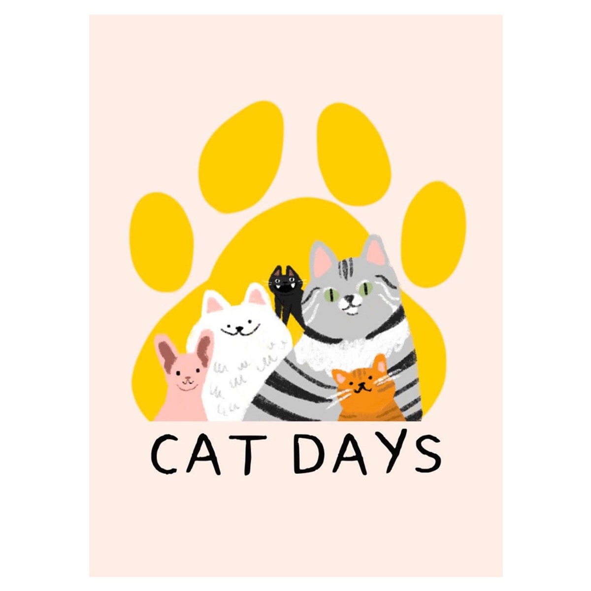 New Arrival Cat Days