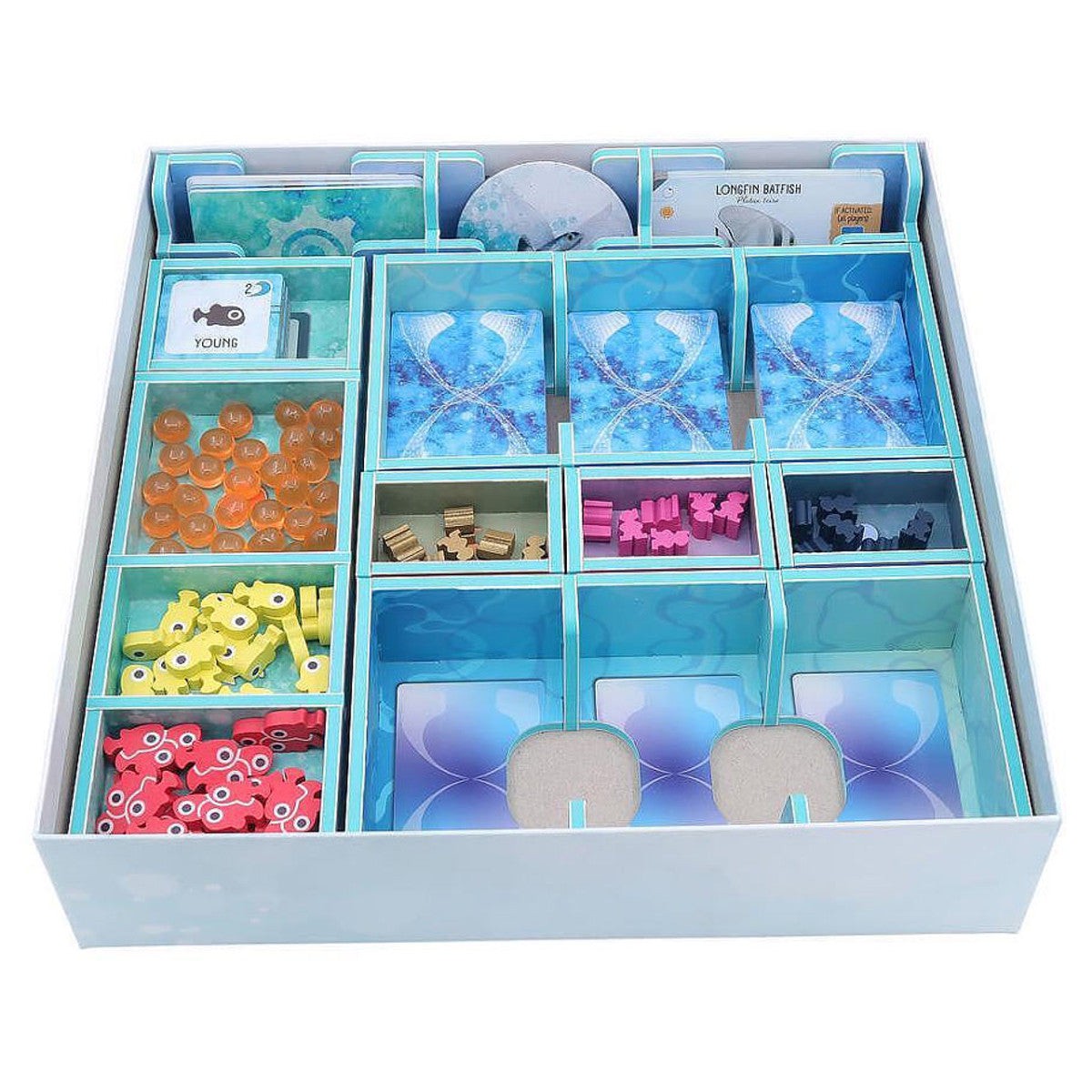 Folded Space Color Box Insert: Finspan