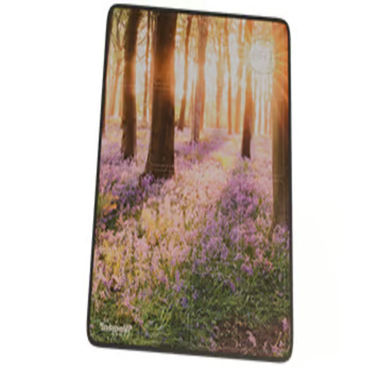 Earth Abundance: 6th Player Tableau Mat
