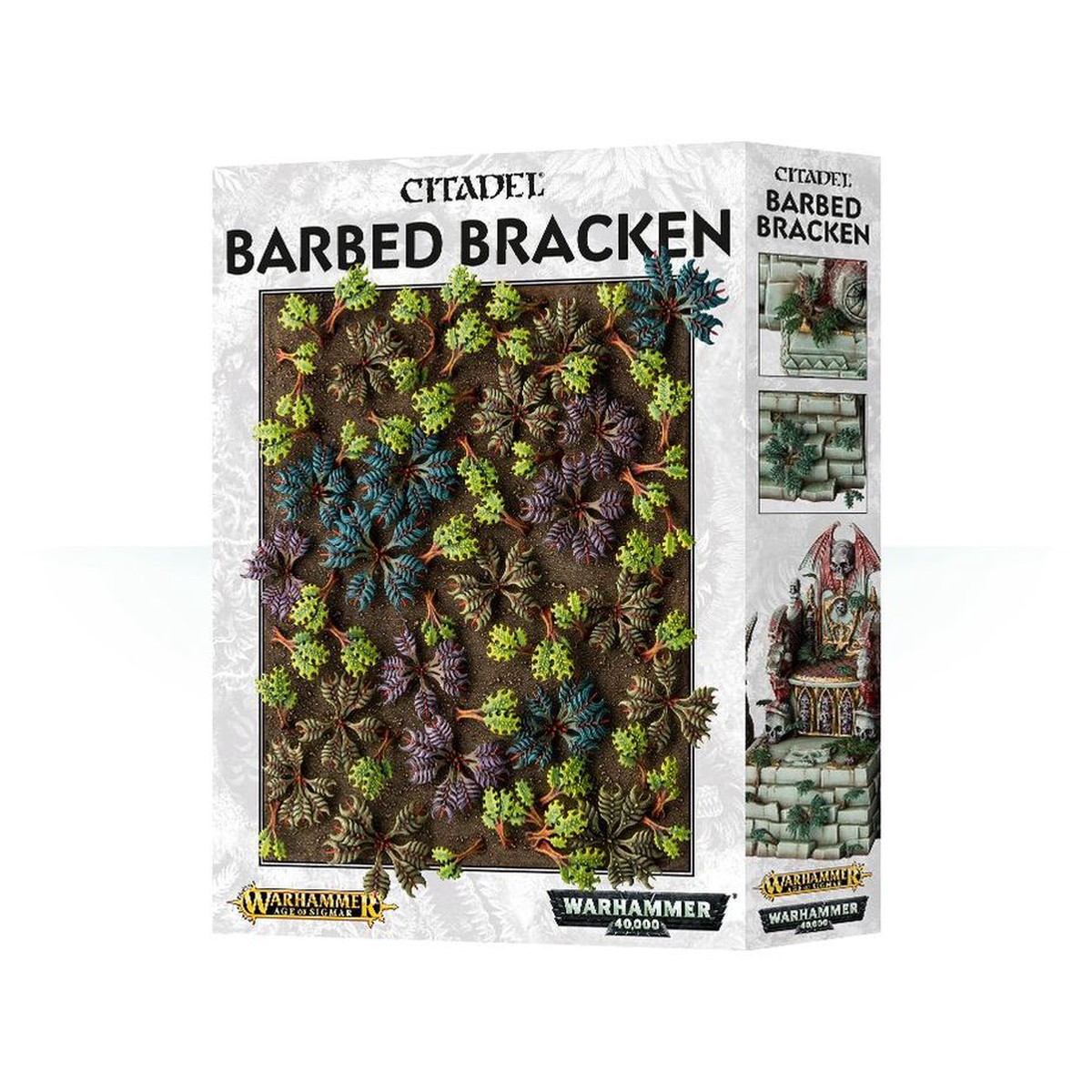 New Arrival Citadel Barbed Bracken