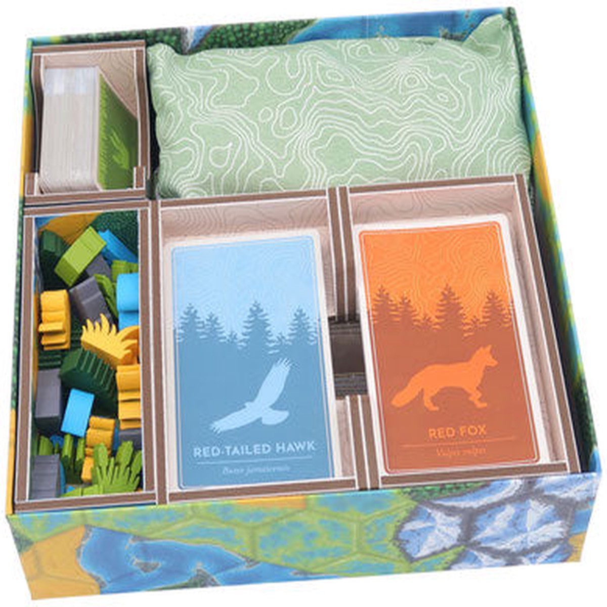 Folded Space Color Box Insert: Cascadia