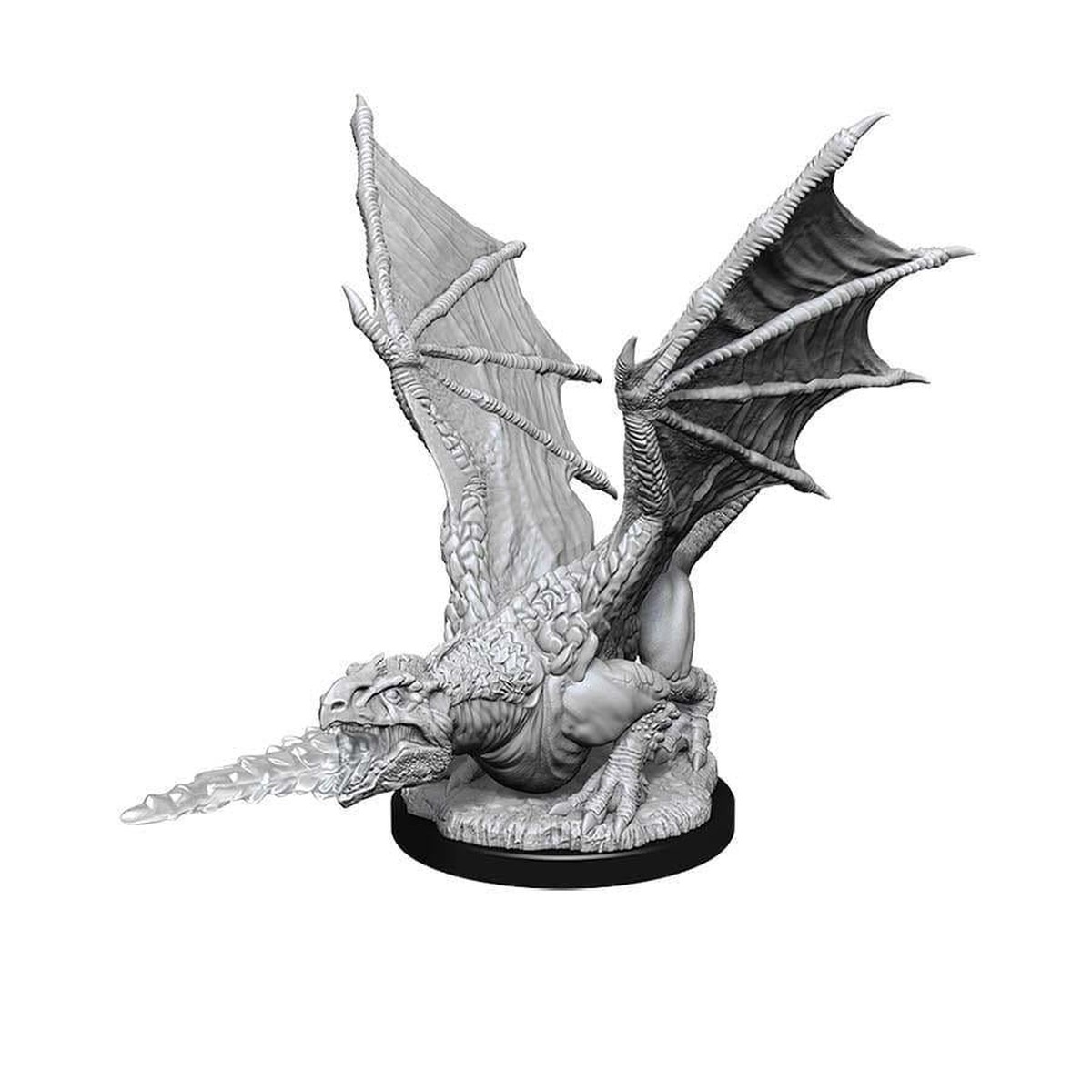 NPC White Dragon Wyrmling