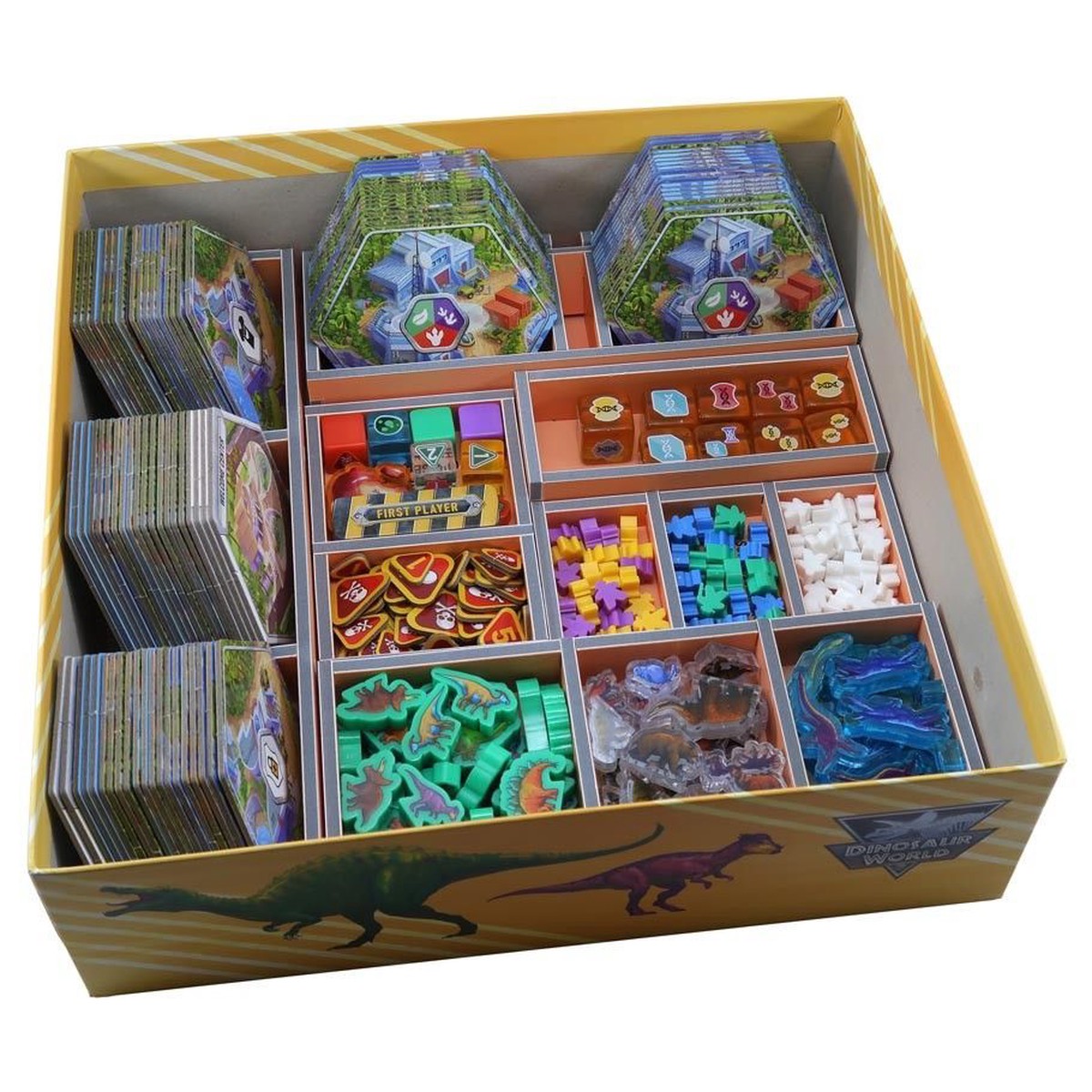 Folded Space Color Box Insert for Dinosaur World