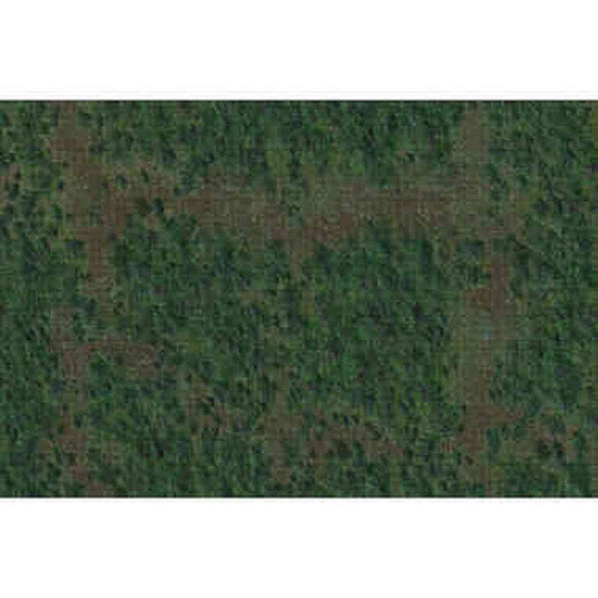 D&D Premium Battle Mat Forest