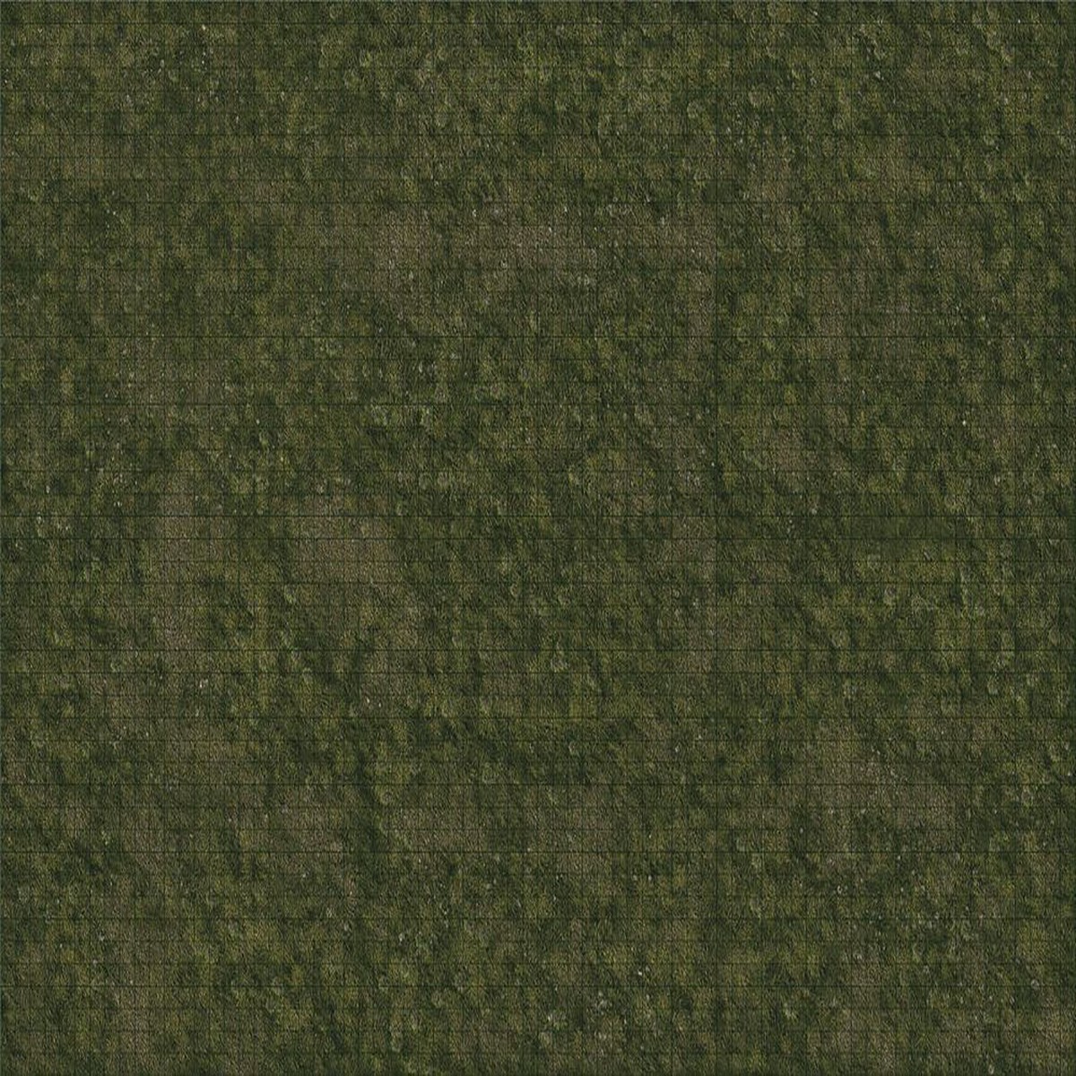D&D Premium Battle Mat Grasslands