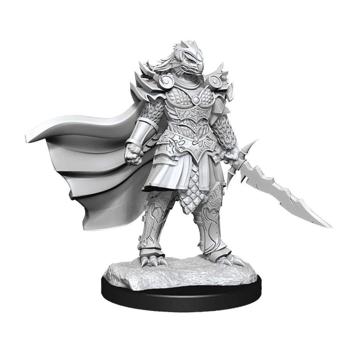 90302 F Dragonborn Fighter