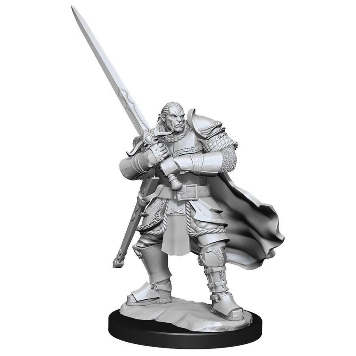 M Half-Orc Paladin