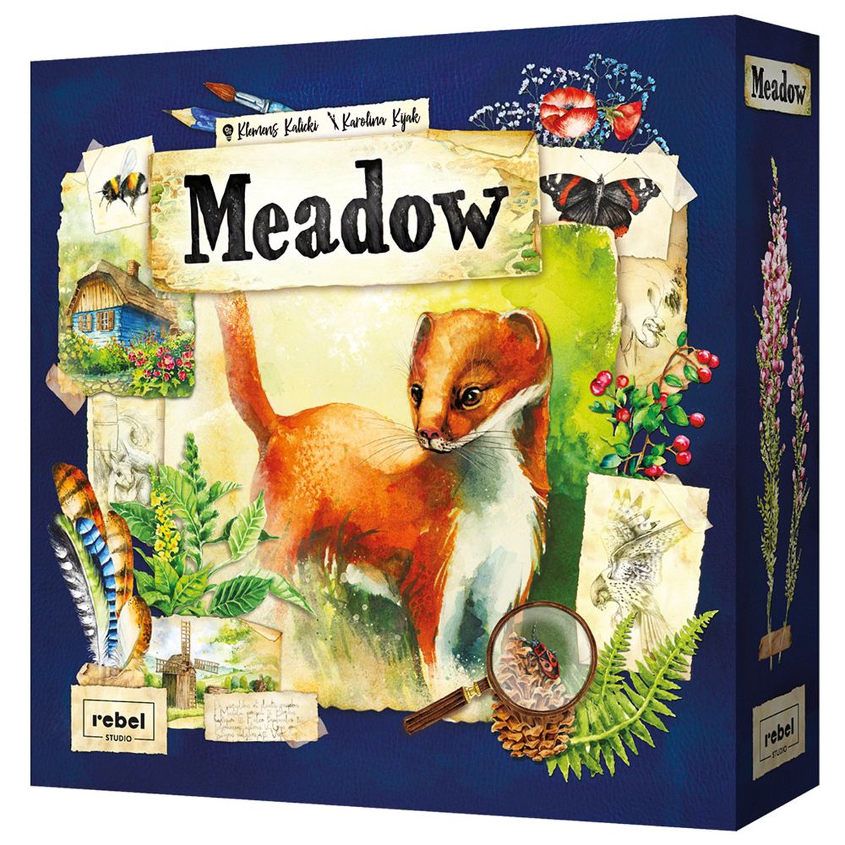New Arrival Meadow