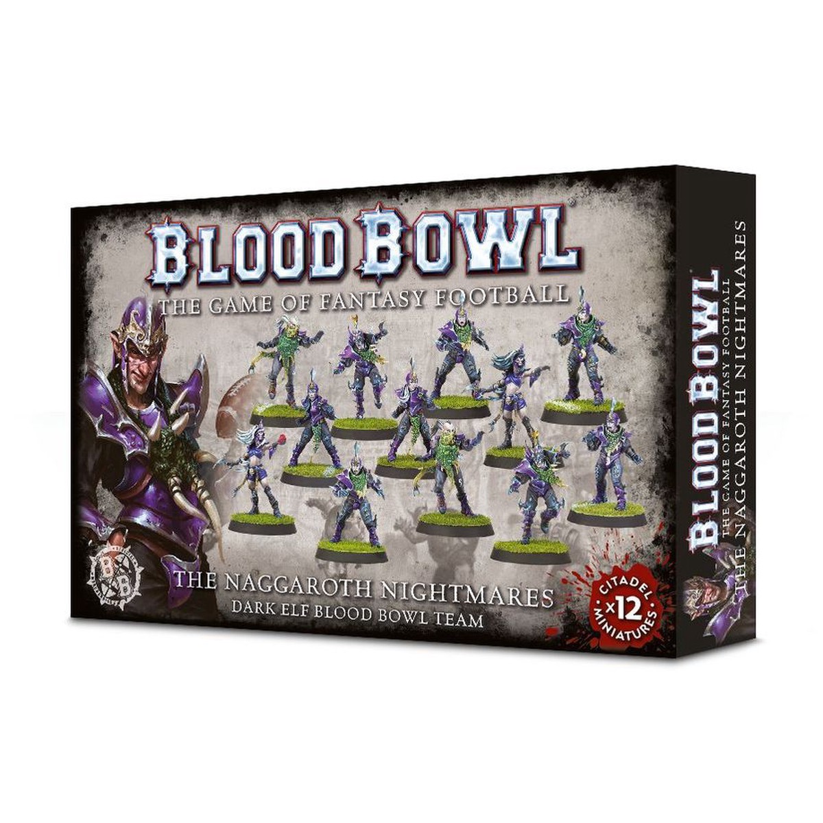 Warhammer- Dark Elf Blood Bowl Team Naggaroth Nightmares