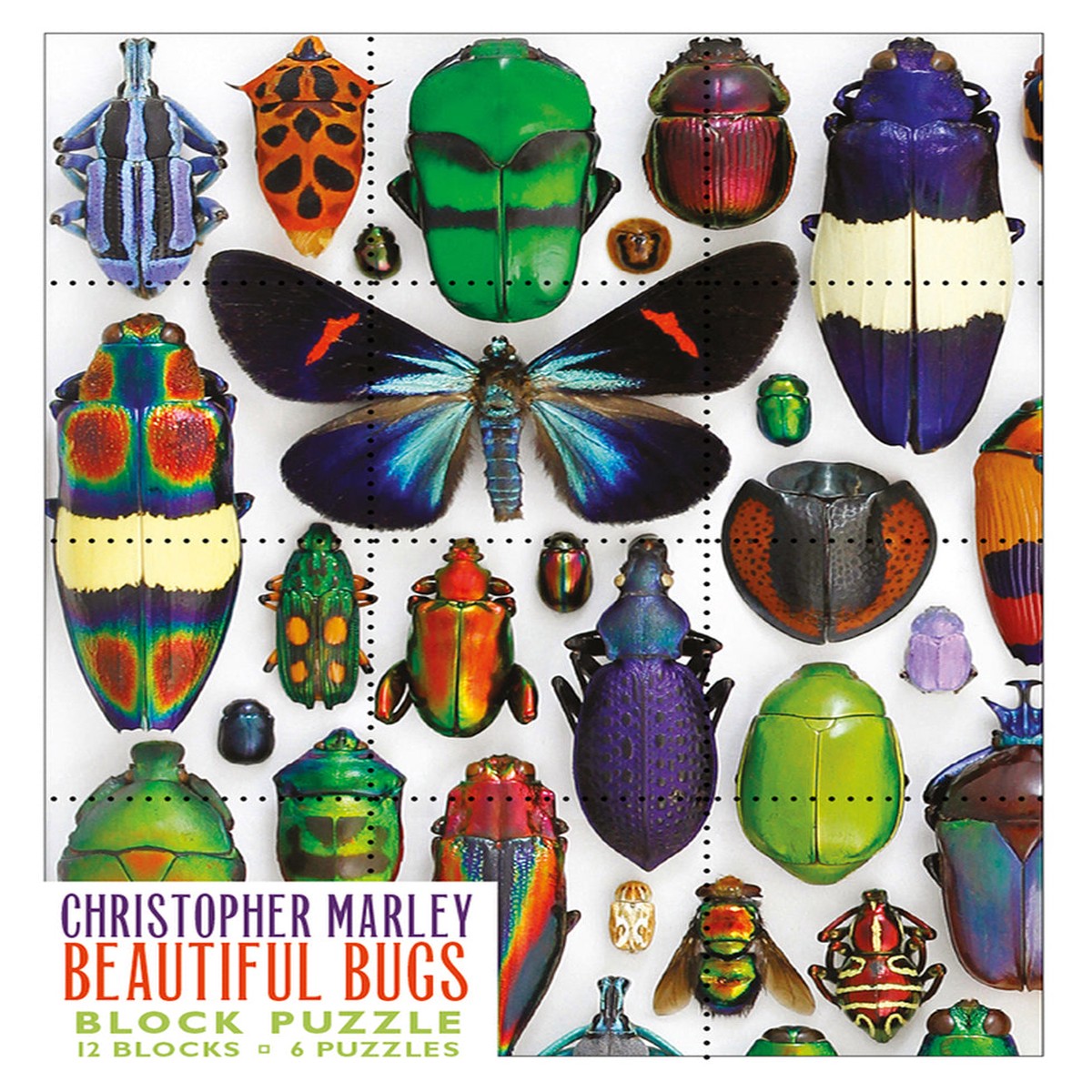 Pomegranate Block Puzzle: Christopher Marley - Beautiful Bugs Block Puzzle