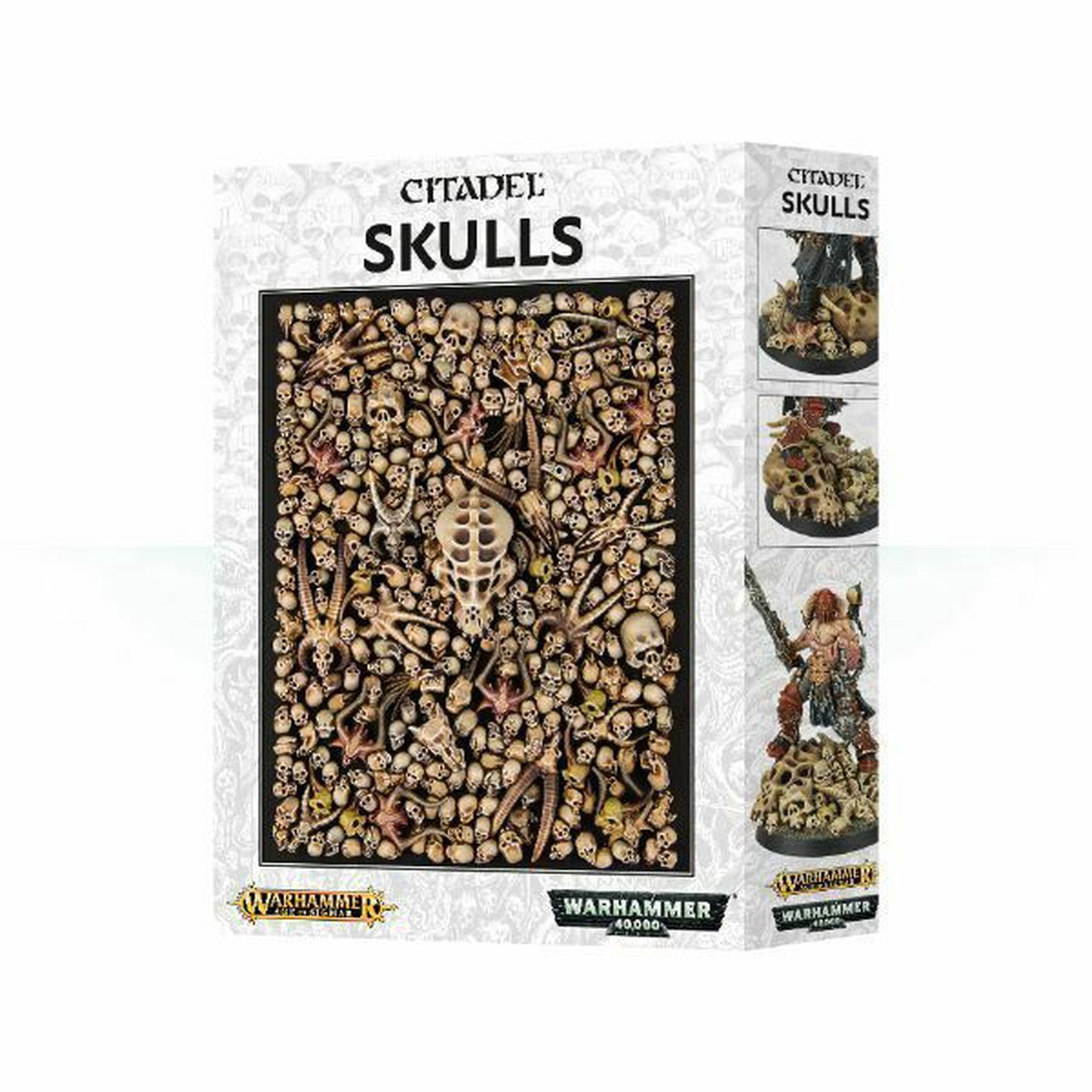 New Arrival Citadel Skulls