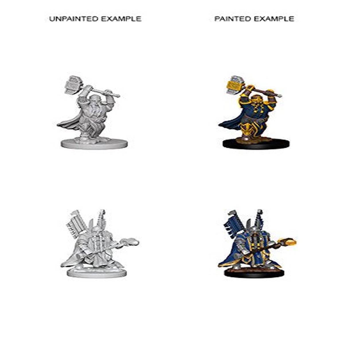 Dungeons & Dragons Nolzur`s Marvelous Unpainted Miniatures: W4 Dwarf Male Paladin