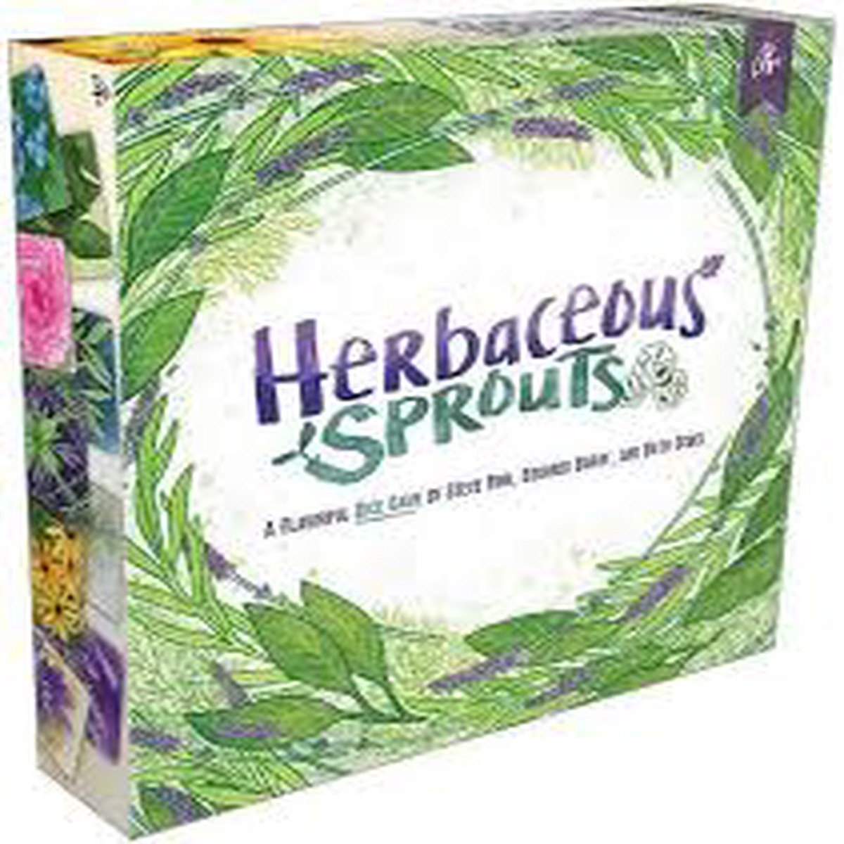New Arrival Herbaceous Sprouts