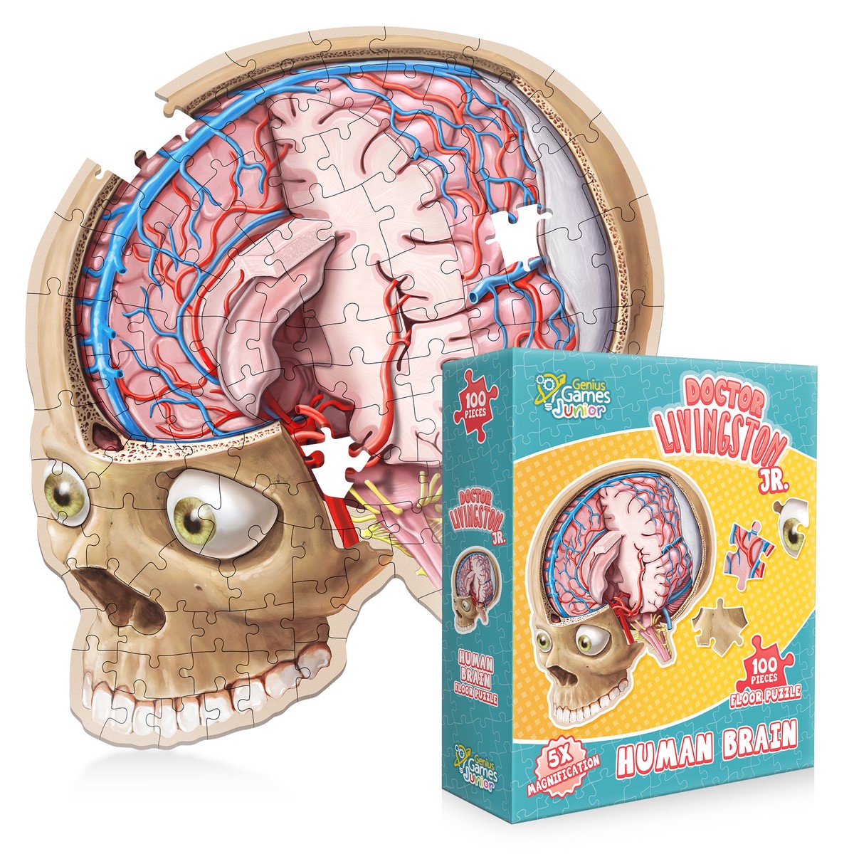 Genius Games Dr. Livingston Jr. Human Brain Floor Puzzle - 100 Piece Jigsaw