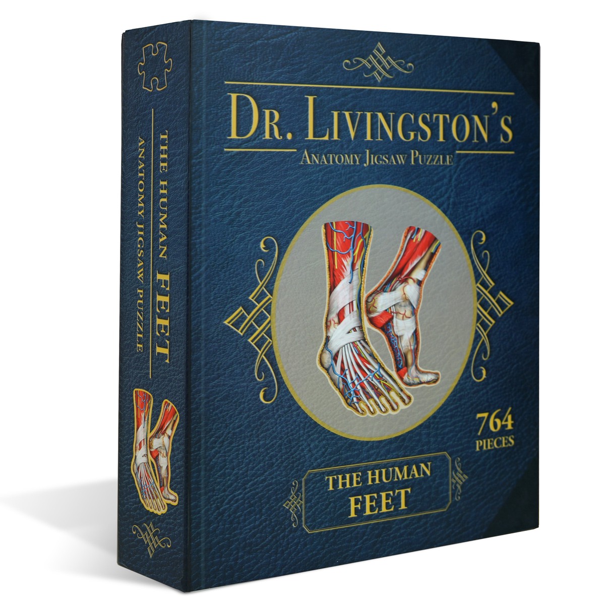 Genius Games Dr. Livingston's The Human Feet Anatomy Puzzle - 764 Piece Jigsaw