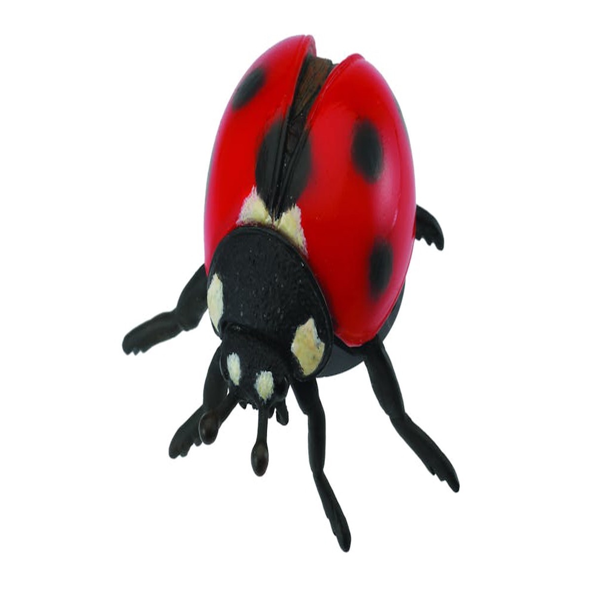 Collecta Ladybird - M