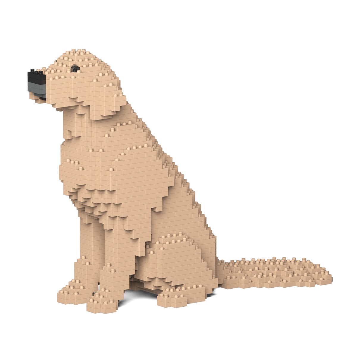 Jekca - Golden Retriever - Small 03s-m03