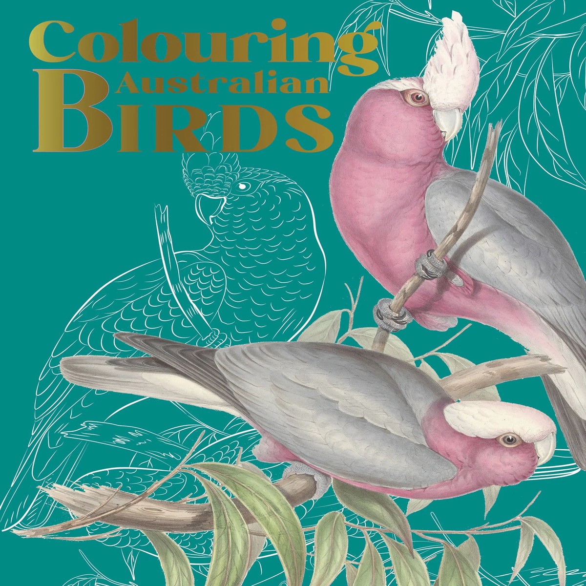 Colouring Australian Birds - Fifth Edition