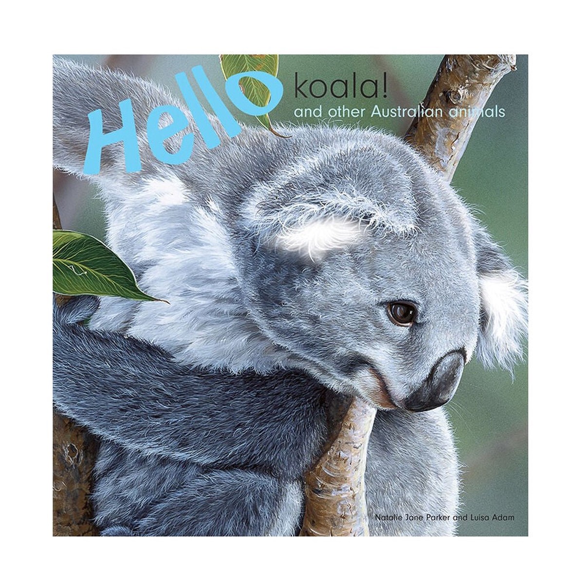 Hello Koala