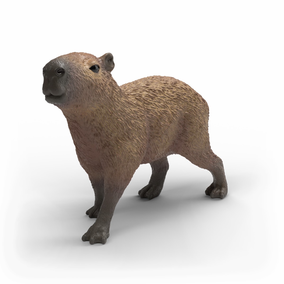 Schleich - Capybara