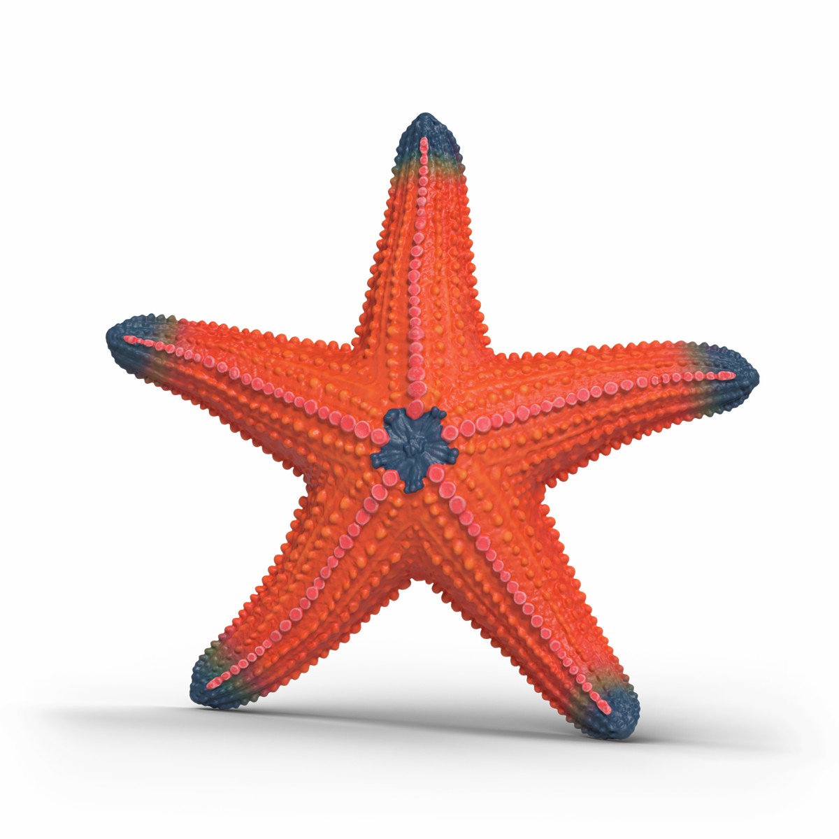 Schleich - Starfish Color Change