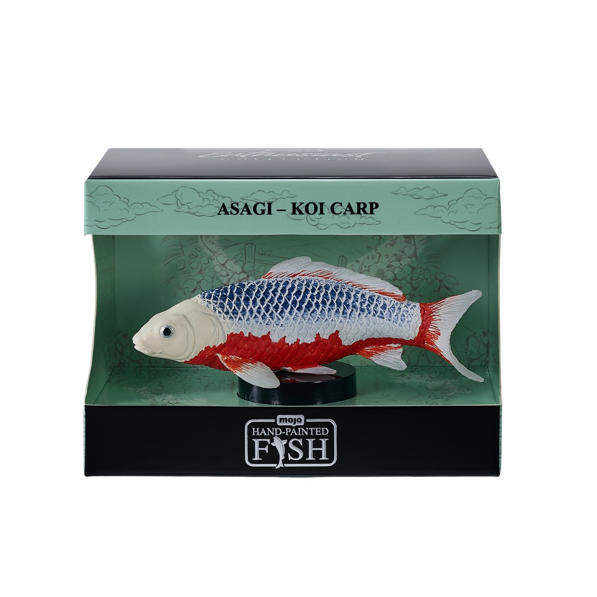 Mojo - Asagi Koi Carp Gift Boxed