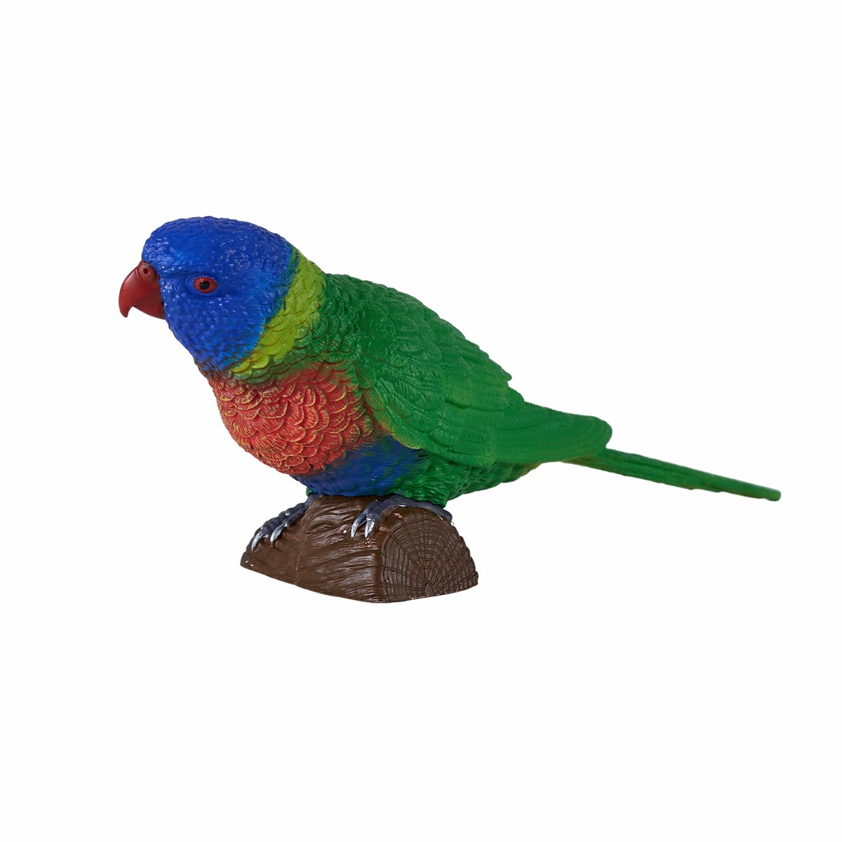 Mojo - Rainbow Lorikeet