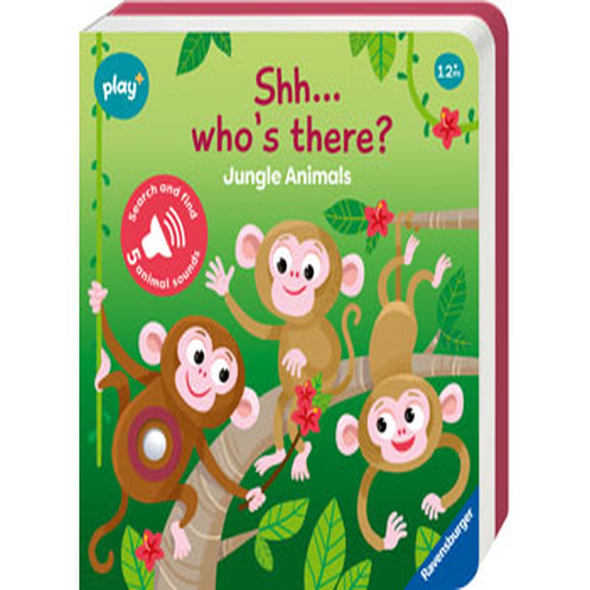 Play+ Shh...Who's there? Jungle Animals