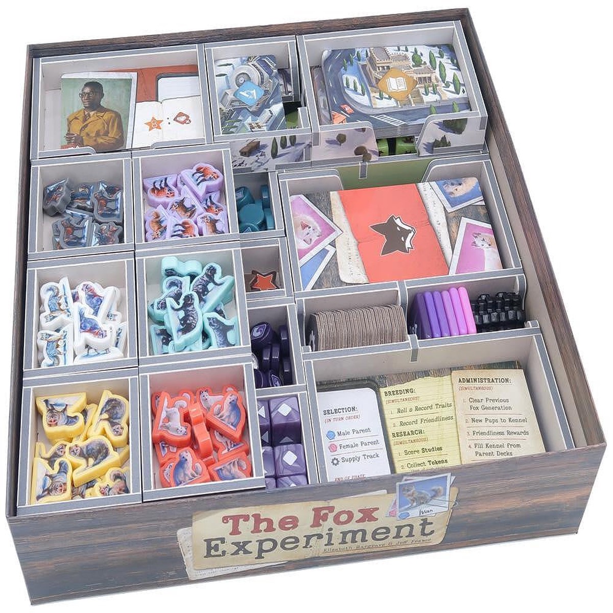 Folded Space - Colour Board Game Insert for Fox Experiment