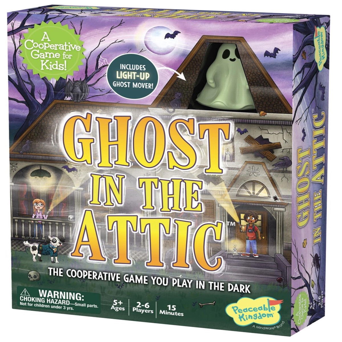 Hot Sale Ghost in the Attic Cooperative Game