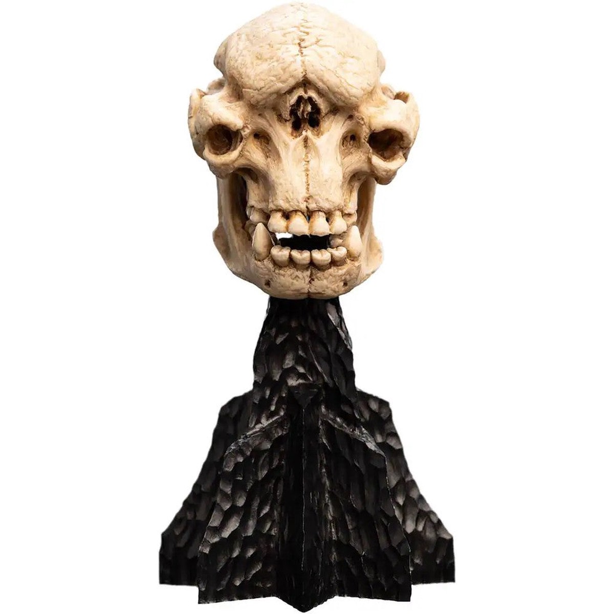 Weta Workshop: The Lord of the Rings Trilogy - Skull of a Cave Troll