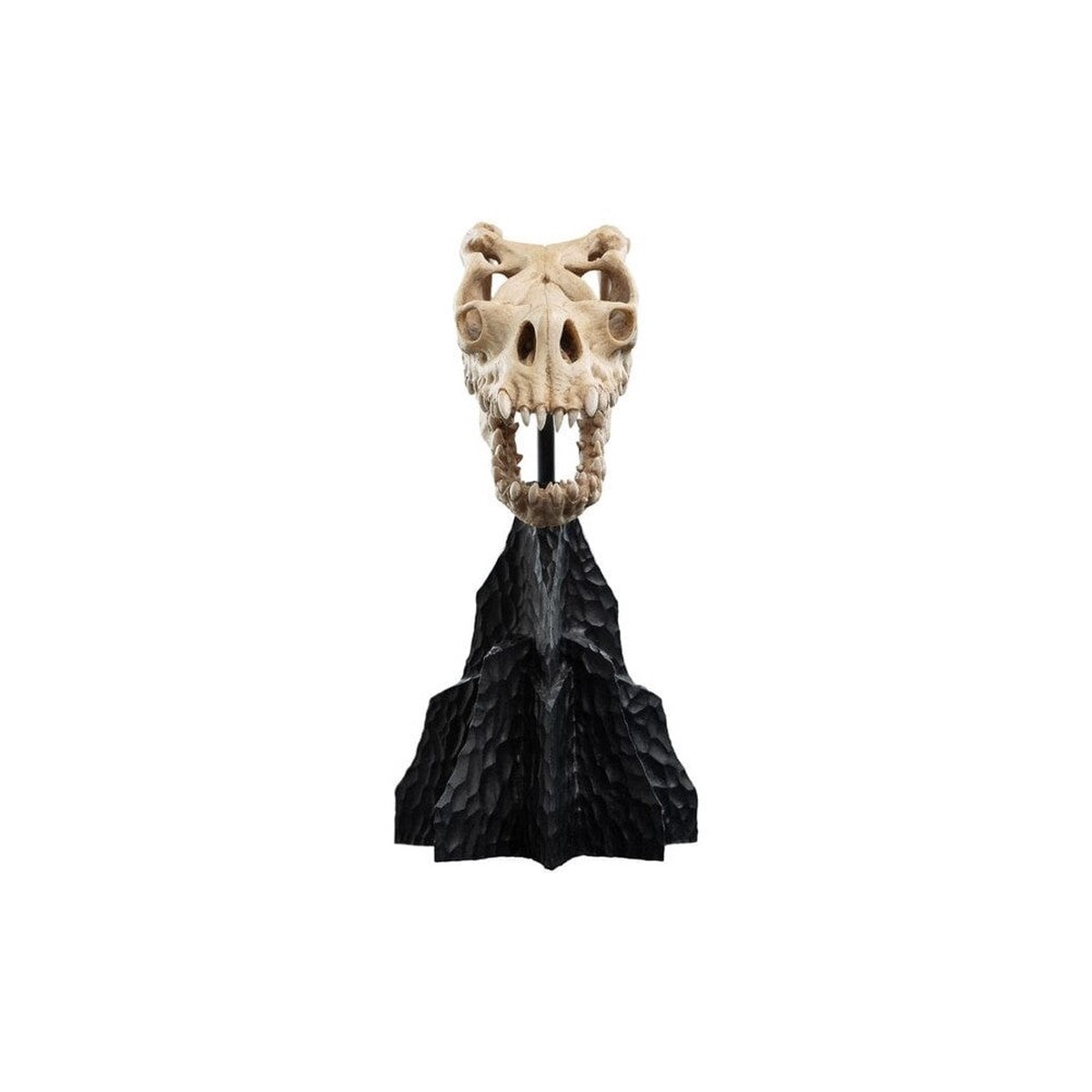 Weta Workshop: The Lord of the Rings Trilogy - Skull of a Fell Beast