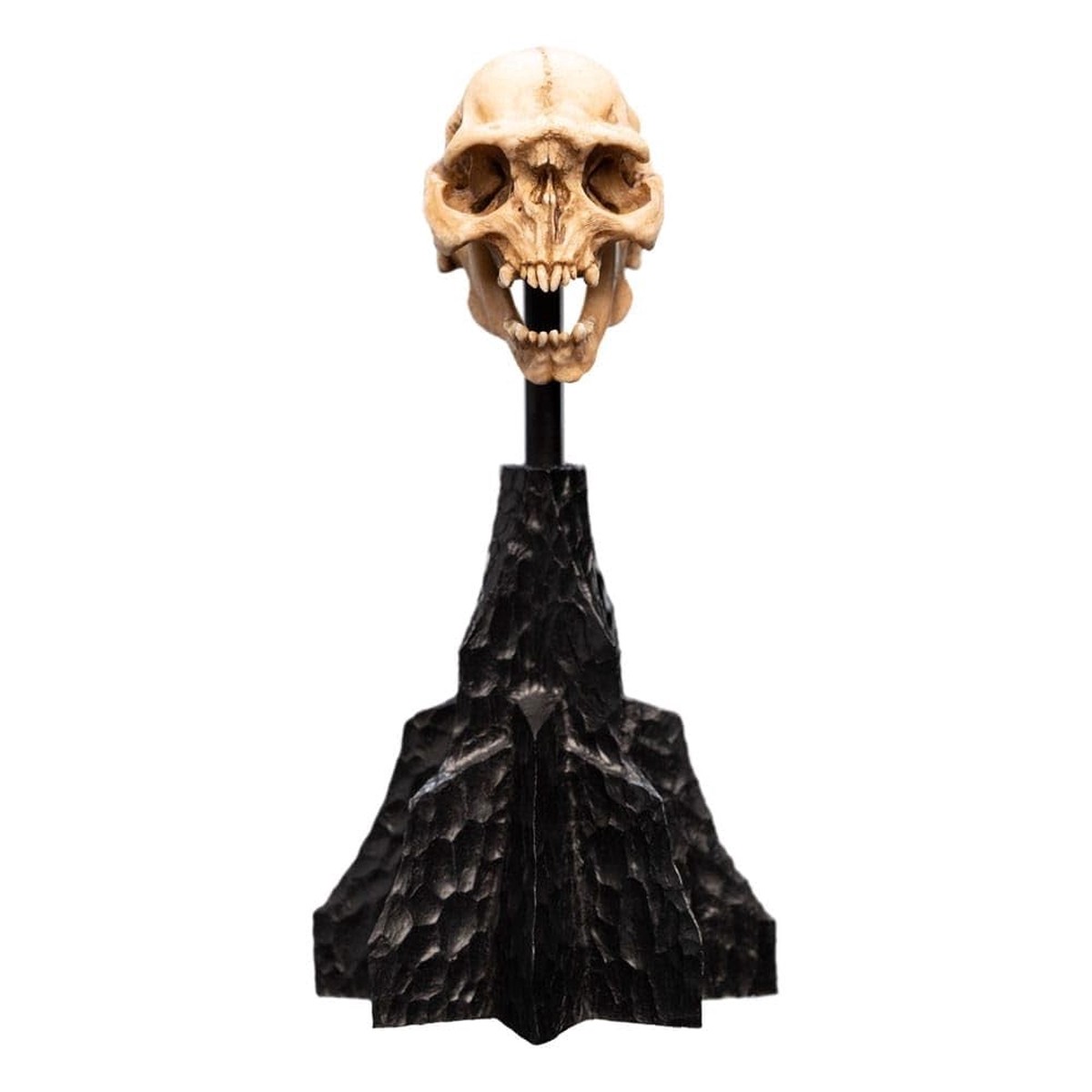 Weta Workshop: The Lord of the Rings Trilogy - Skull of a Moria Orc