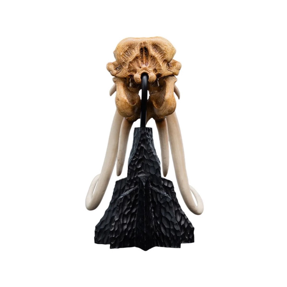Weta Workshop: The Lord of the Rings Trilogy - Skull of a Mumak