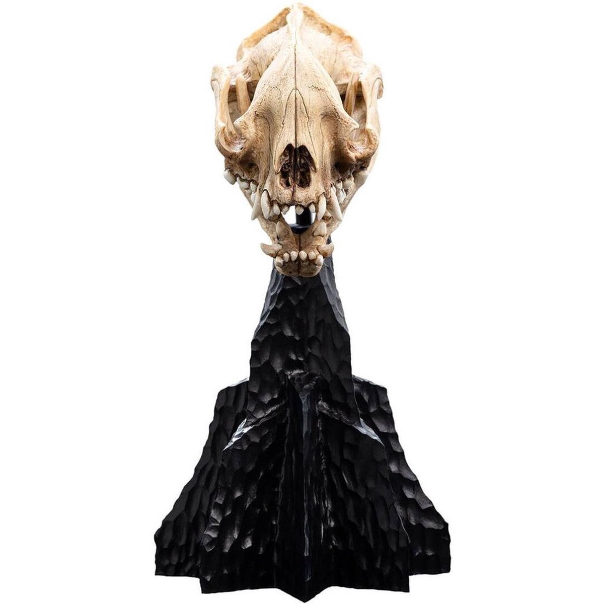 Weta Workshop: The Lord of the Rings Trilogy - Skull of a Warg