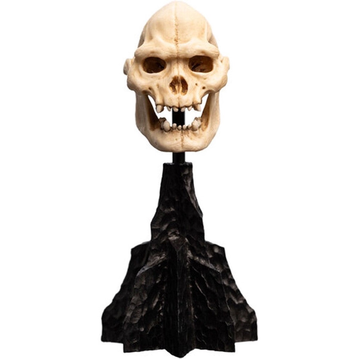 Weta Workshop: The Lord of the Rings Trilogy - Skull of Lurtz