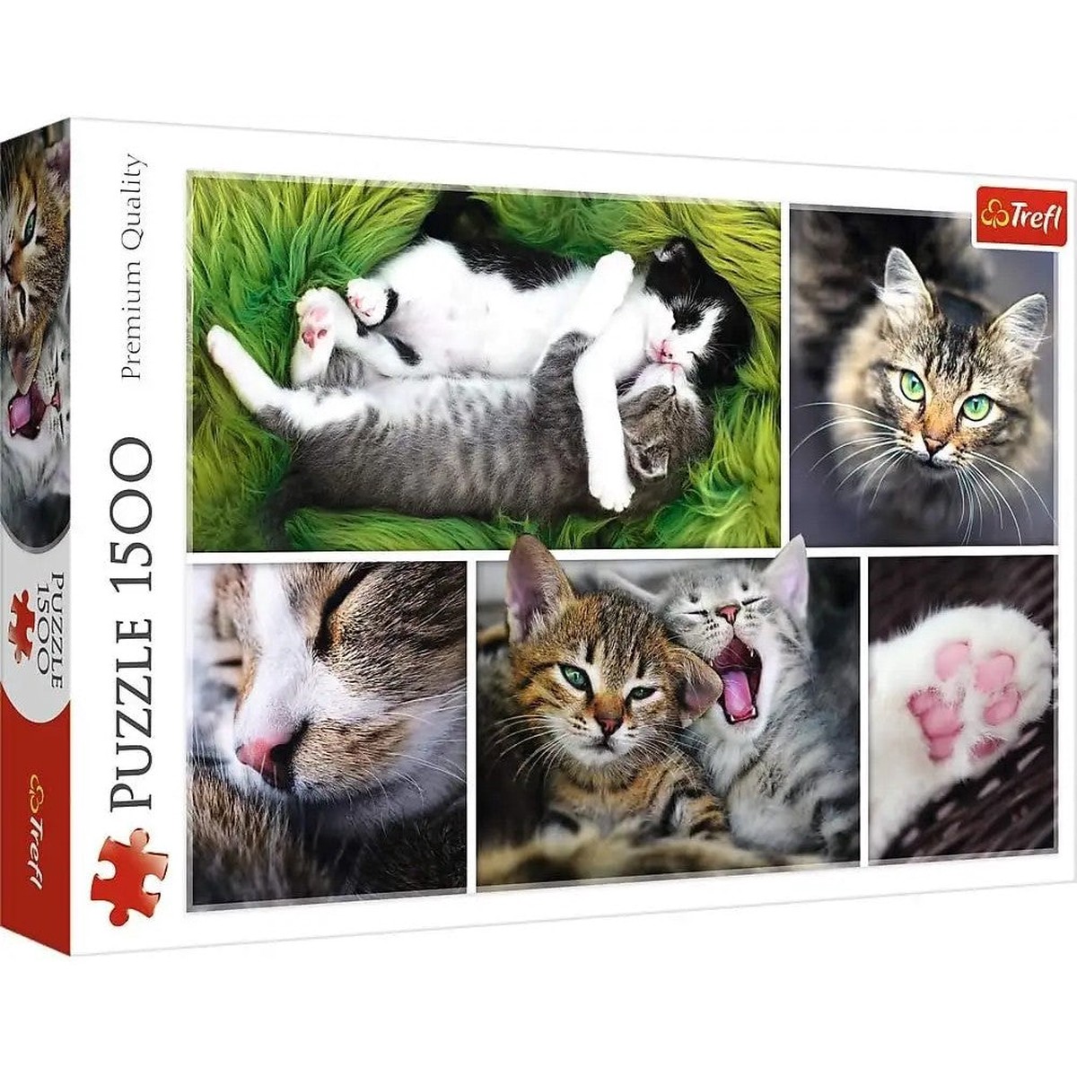 Trefl Park - Just Cat Things! 1500Pc