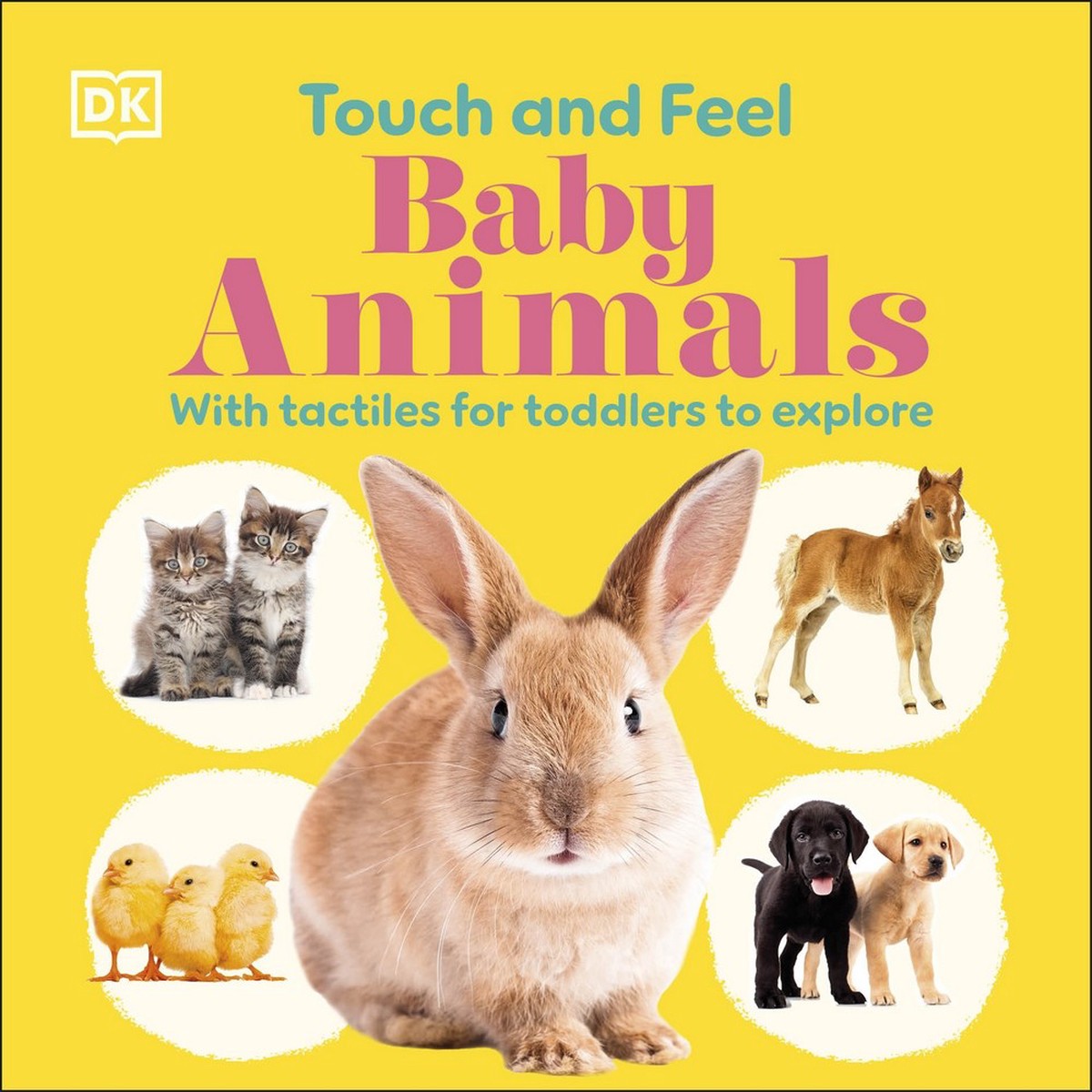 Baby Animals Touch & Feel