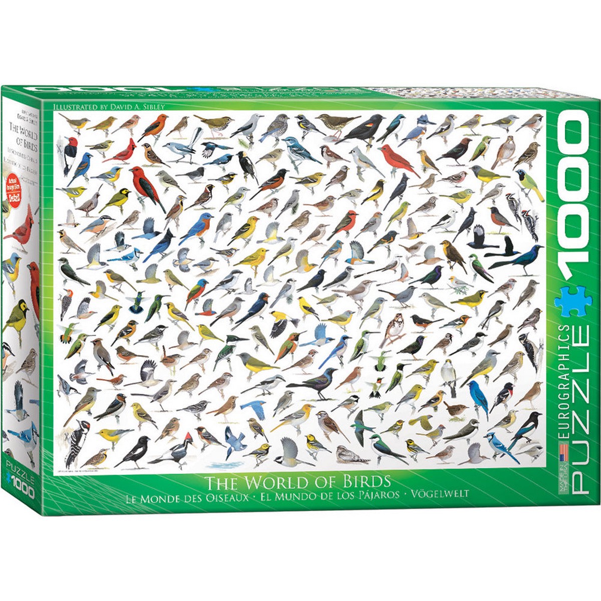 Eurographics - World Of Birds 1000 Piece Puzzle