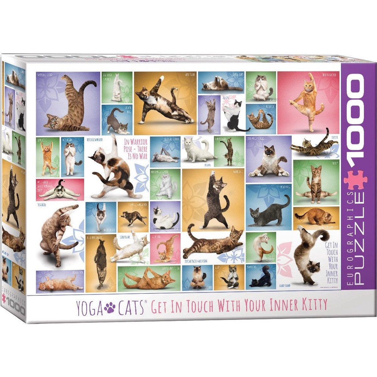 Eurographics - Yoga Cats 1000 Piece Puzzle