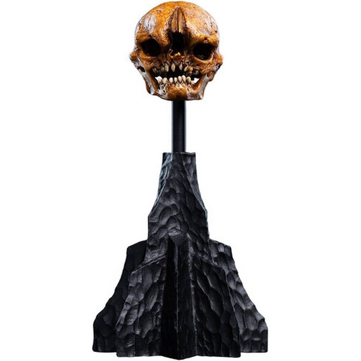 Weta Workshop: The Hobbit Trilogy - Skull of a Misty Mountain Goblin